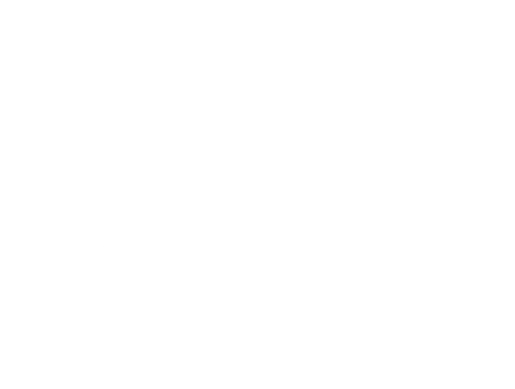 Male Turtle 3